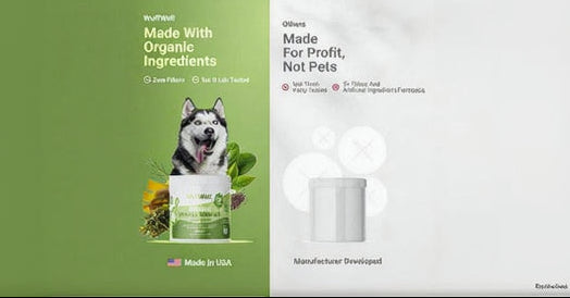 Vet recommended dog dental powder for healthy teeth