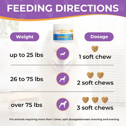 Premium dog probiotics with pork flavor 90 treats