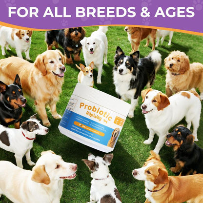 Dog gut health supplements with probiotics pork flavor