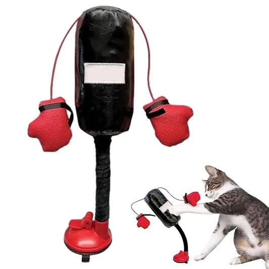 Interactive cat boxing toy with punching bag and gloves