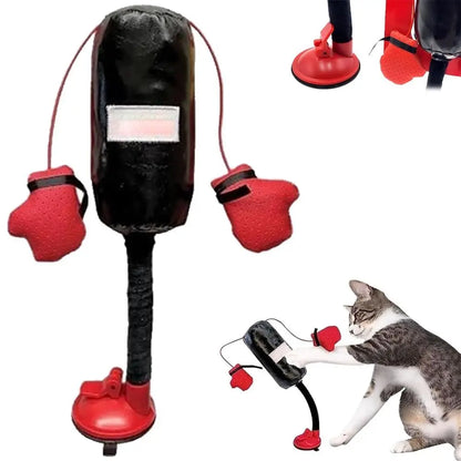 Cat boxing toy showing punching bag and gloves